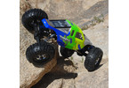 Losi Mini-Rock Crawler 1:18 Pro Race Roller