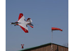 Hangar 9 F-22 Raptor PTS ARF - červeno / bílý