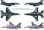 Italeri F-16 ADF/AM "Special colors" (1:72)