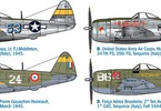 Italeri P-47D Thunderbolt (1:48)