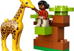 LEGO DUPLO - Savana