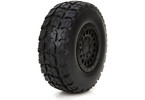 ECX Front/Rear Premount Tire: 1/18 4WD Torment (2)