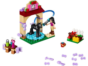 LEGO Friends - Mytí hříbátka / LEGO41123