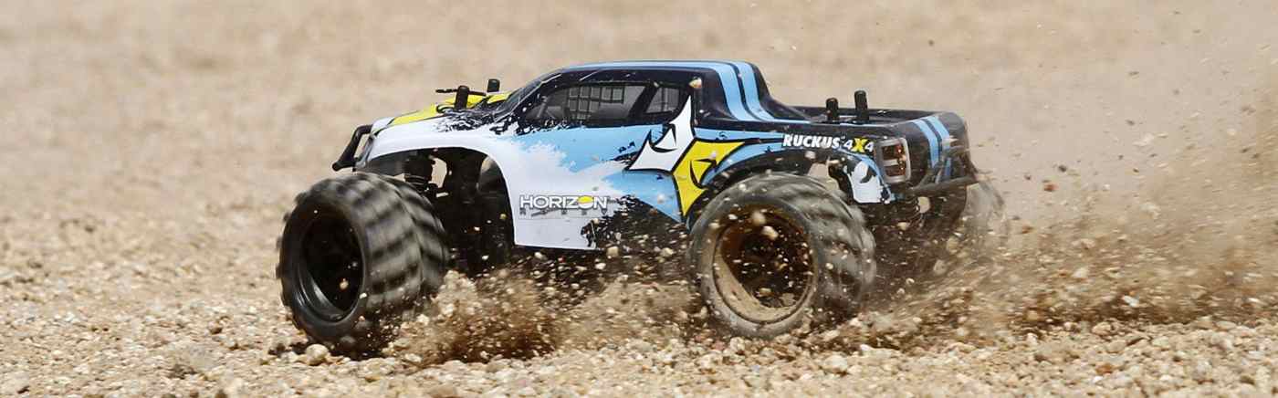 ECX Ruckus 1:24 4WD RTR