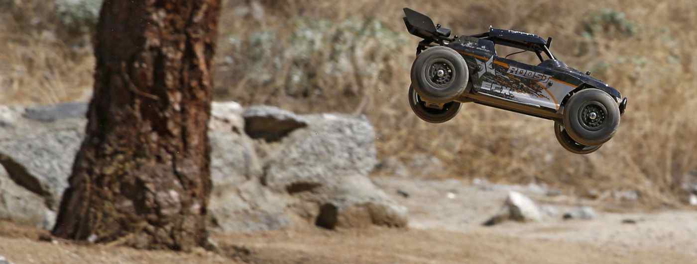 ECX Roost 1:18 4WD