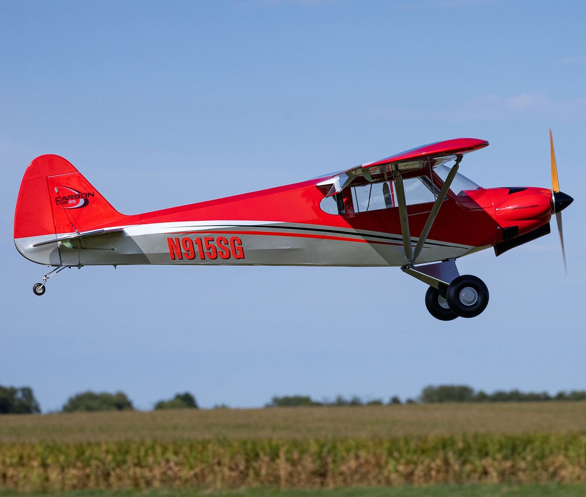 Hangar 9 Carbon Cub 2.28m 15cc EP PNP