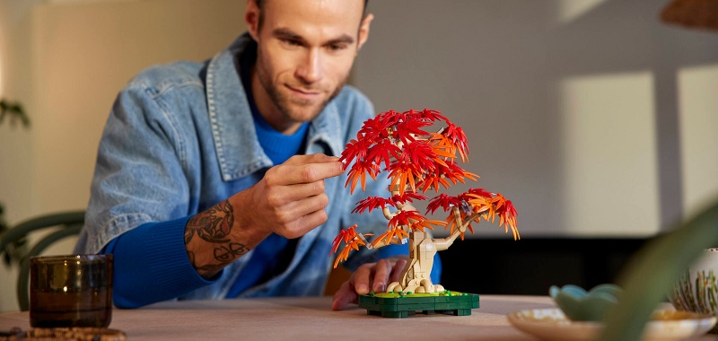LEGO Botanicals - Bonsaj – Japonský červený javor