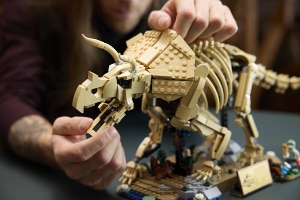 lego/LEGO77985/77985-13.jpg