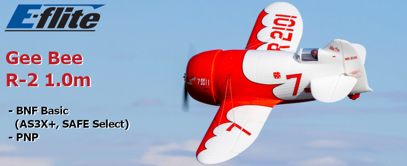E-flite Gee Bee R-2 1.0m