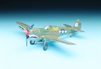 Academy Curtiss P-40M/N (1:72)