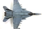 Academy Boeing F/A-18E VFA-143 USN Pukin Dogs (1:72)