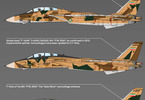 Academy Grumman F-14A Tomcat "IRIAF" (1:72)