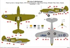 Airfix North American P-40B Warhawk (1:48)