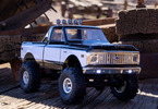 Axial SCX24 Chevrolet C10 1971 1:24 4WD RTR