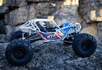 Axial RBX10 Ryft 4WD 1:10 Kit
