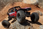 Axial 1/10 Capra 1.9 4WS RTR