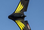 Blade Theory Type W 0.8m SAFE Team Edition