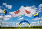 Blade Theory Type W 0.8m Basic SAFE FPV Ready BNF
