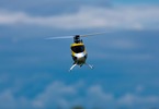 RC model vrtulníku Blade 200 S RTF: V letu