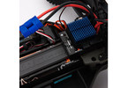 ECX 1/10 Circuit V2 RTR Red