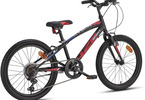 DINO Bikes - Children's bike 20" Aurelia black