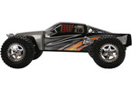 Losi Desert Truck 1:10 RTR
