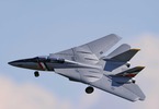 E-flite F-14 Tomcat 0.76m BNF Basic
