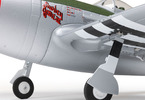 E-flite Micro P-47 Thunderbolt 0.625m BNF Basic AS3X+ SAFE Select