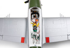 E-flite Micro P-47 Thunderbolt 0.625m BNF Basic AS3X+ SAFE Select