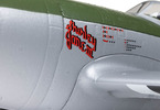 E-flite Micro P-47 Thunderbolt 0.625m BNF Basic AS3X+ SAFE Select
