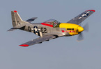 E-flite P-51D Mustang 0.49m Detroit Miss SAFE Select BNF Basic