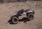 ECX Ruckus 1:10 Brushless AVC RTR černý