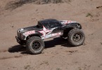 ECX Ruckus 1:10 Brushless AVC RTR černý