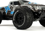 ECX 1/10 Ruckus V4 RTR Silver