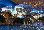 ECX 1/10 Ruckus V4 RTR Silver