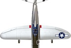 P-47_Razorback_BNF: Pohled