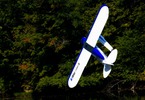 E-flite Carbon Cub 2.2m PNP