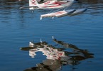 E-flite Timber 1.5m PNP, Floats