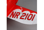 E-flite Micro Gee Bee R2 AS3X BNF