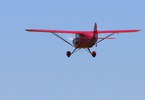 E-flite PA-20 Pacer 10e 1.3m ARF