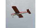 E-flite Alpha 450 ARF