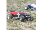 ECX 1/10 Circuit RTR Red
