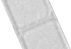 Nylon Flex Hinge - Micro (10)