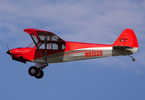 Hangar 9 Carbon Cub 2.28m 15cc EP PNP