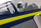 Hangar 9 Viper 2.1m 100N Turbine Jet ARF