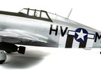 Hangar 9 P-47D Thunderbolt 1.7m 20cc ARF
