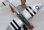 Hangar 9 P-47D Thunderbolt 1.7m 20cc ARF