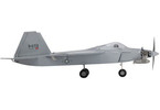 F-22 Raptor PTS ARF - šedý