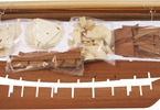 COREL Le Tonnant 1:50 kit