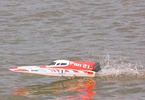 Krick Racecat Pan 21 V2 ARR
